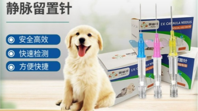 寵物留置針：為寵物醫(yī)療帶來便利與關懷