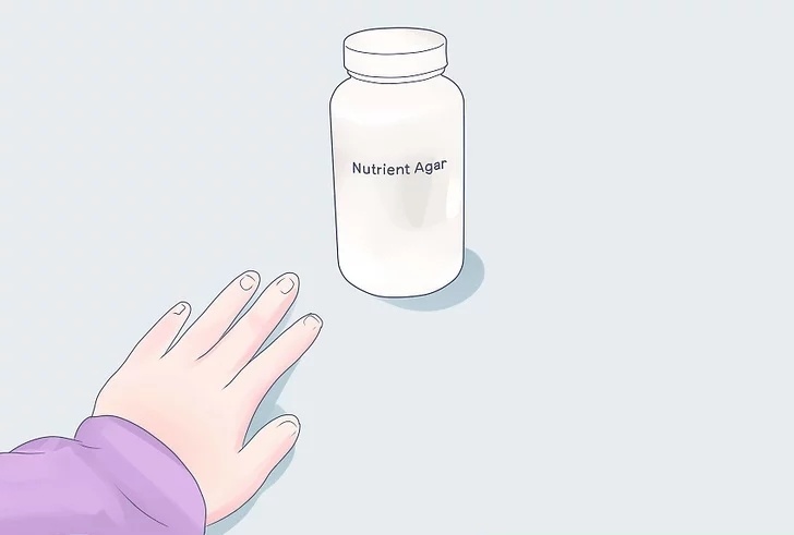 準備瓊脂.webp